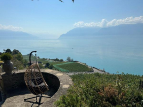 Panoramic Room in the vineyard,stunning views of lake and Alps